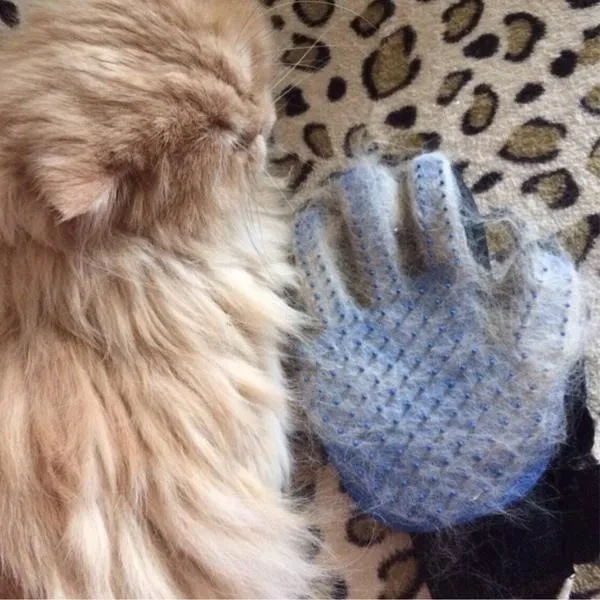 Pet Hair Removal Brush Combs