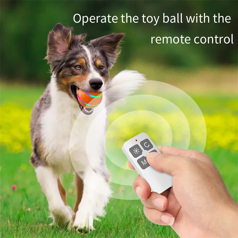 Pet New Cat Wicked Ball Toy