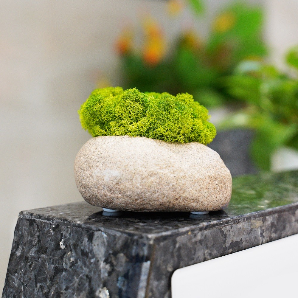 Artificial Green Plants Eternal Life Moss