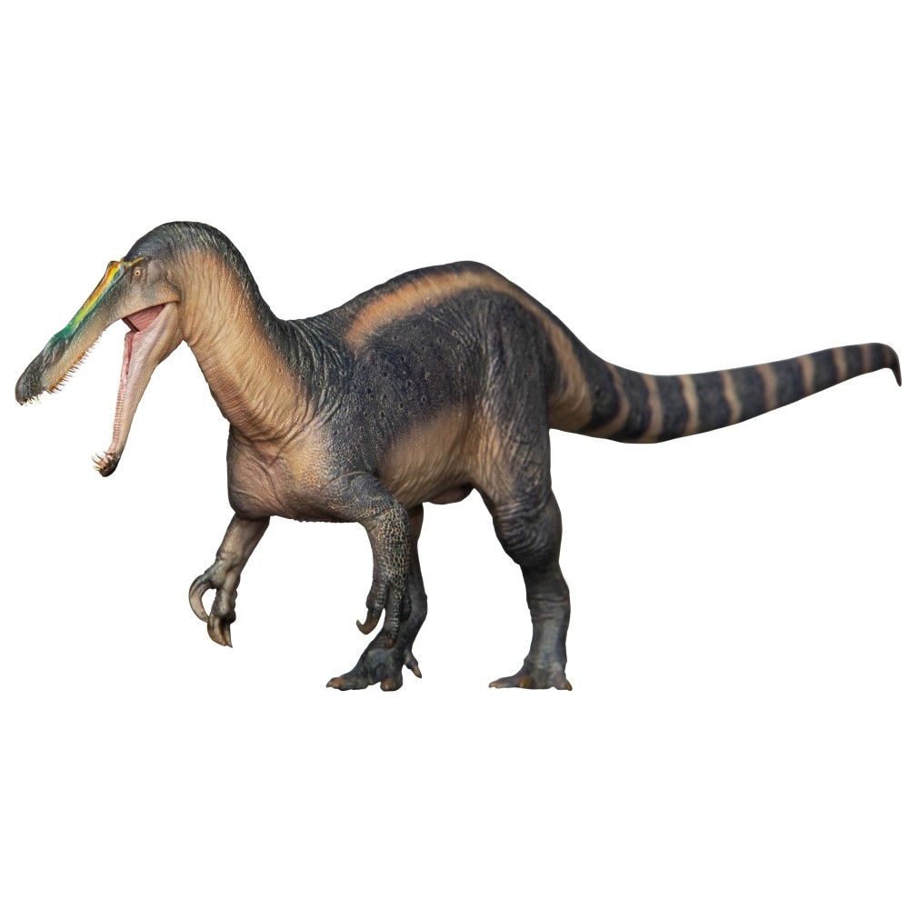 PNSO Prehistoric Dinosaur Model 67 ThaBo the Suchomimus