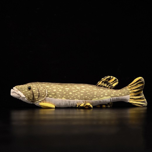 Cute pike doll