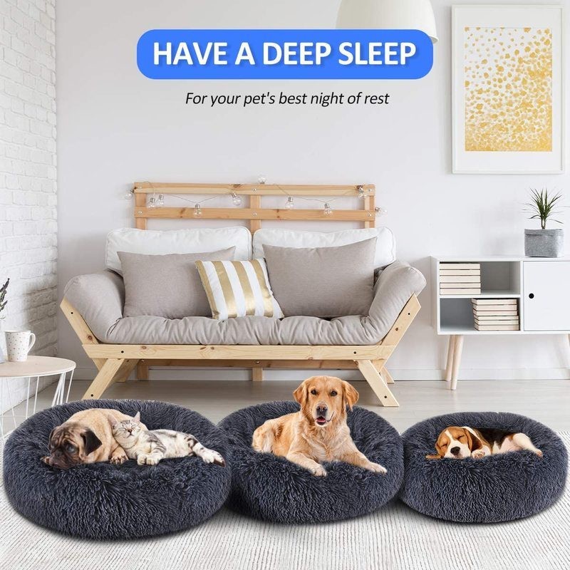 Cat Bed M