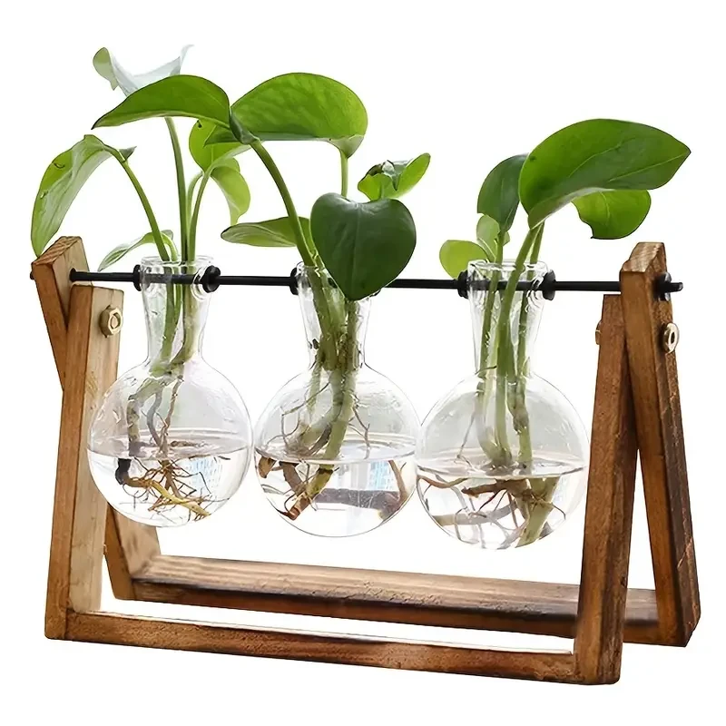 Transparent Glass Bulb Vase with Wooden Stand