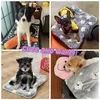Comfortable and Calming Cat Blanket