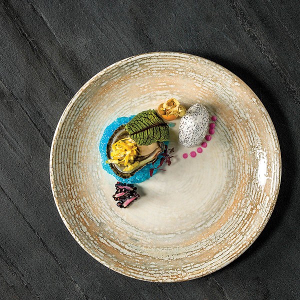 Patera Plate Coupe 210 mm - Bonna