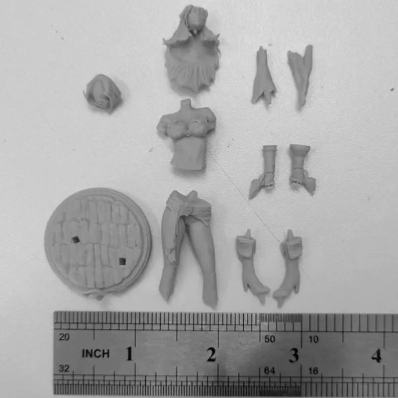 1/24 Hobby Miniature Resin Figure Model Kit - Female Pirate Captain Miss Fortune