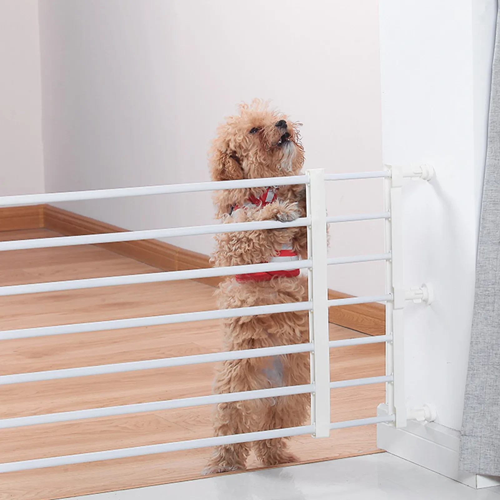Dog Gates