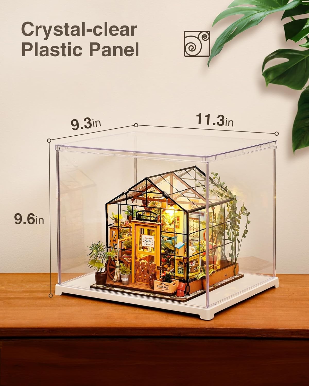 Acrylic Display Case