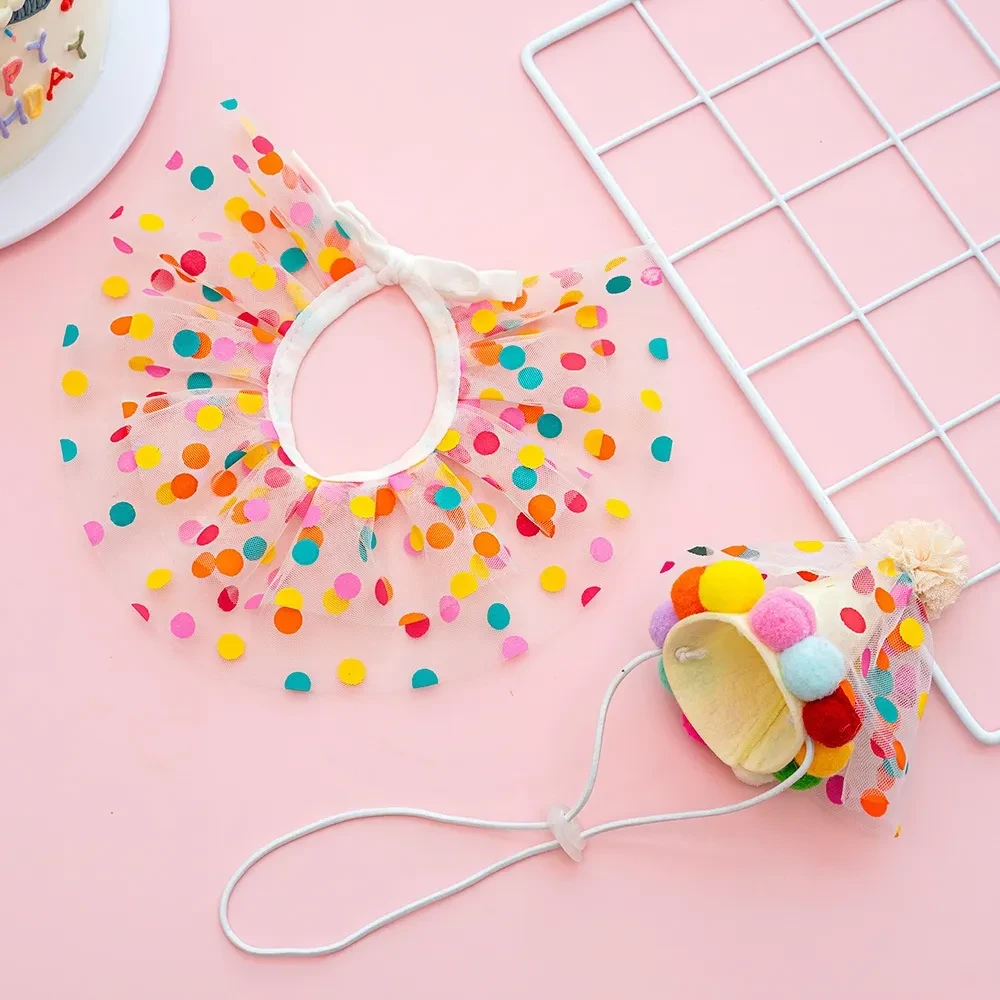 Dog Birthday Suit