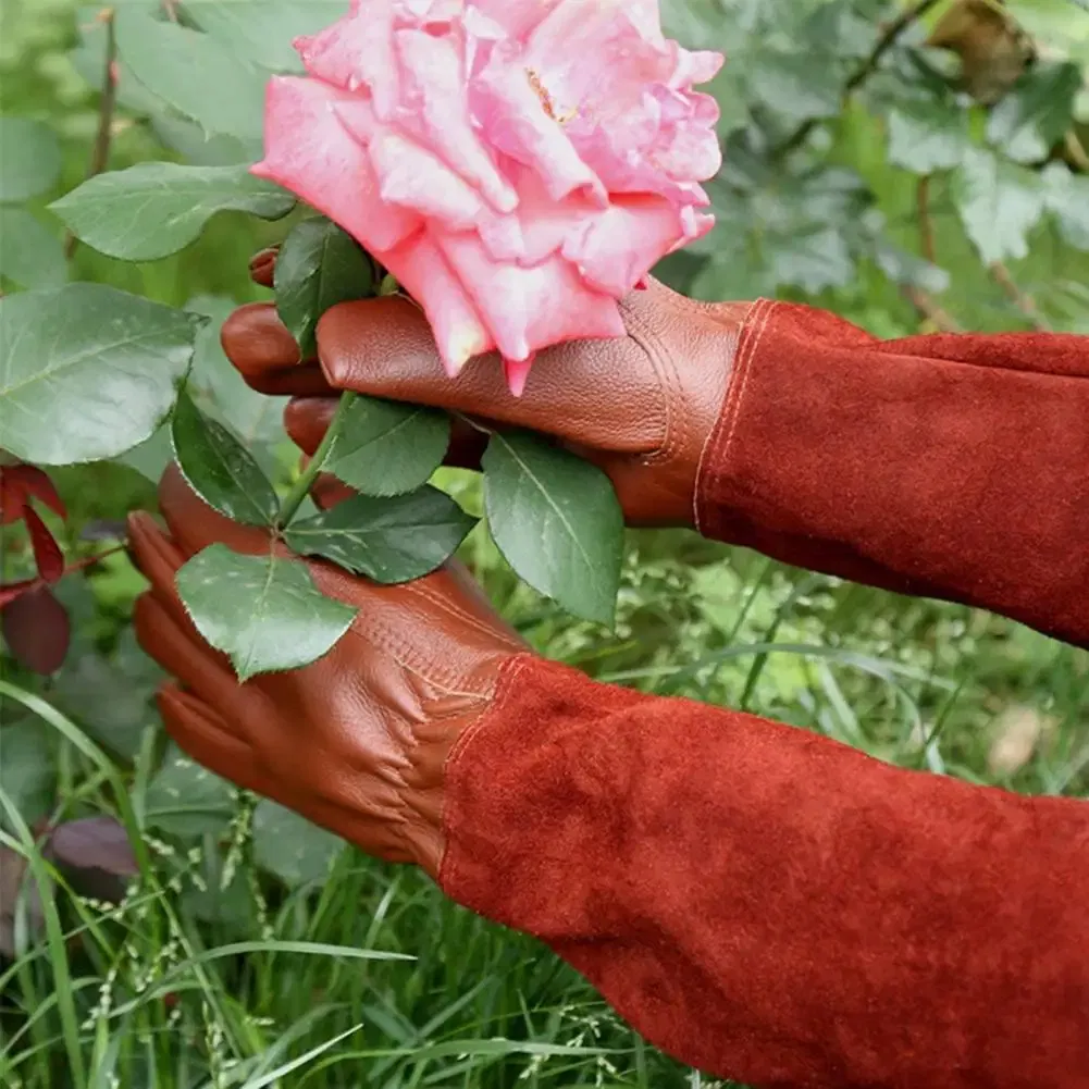 Color: WHITE, Size: PP - Pruning Garden Gloves Anti-scratch Faux Leather Protective Gloves Reusable Fruit Picking Shrub Pruning Trimming Hand Protector