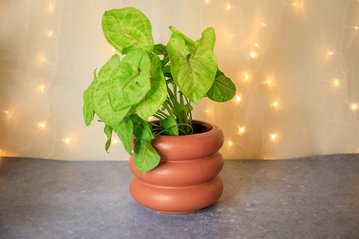 Milan curved cover pot