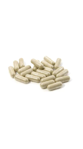 Premium Oyster Extract