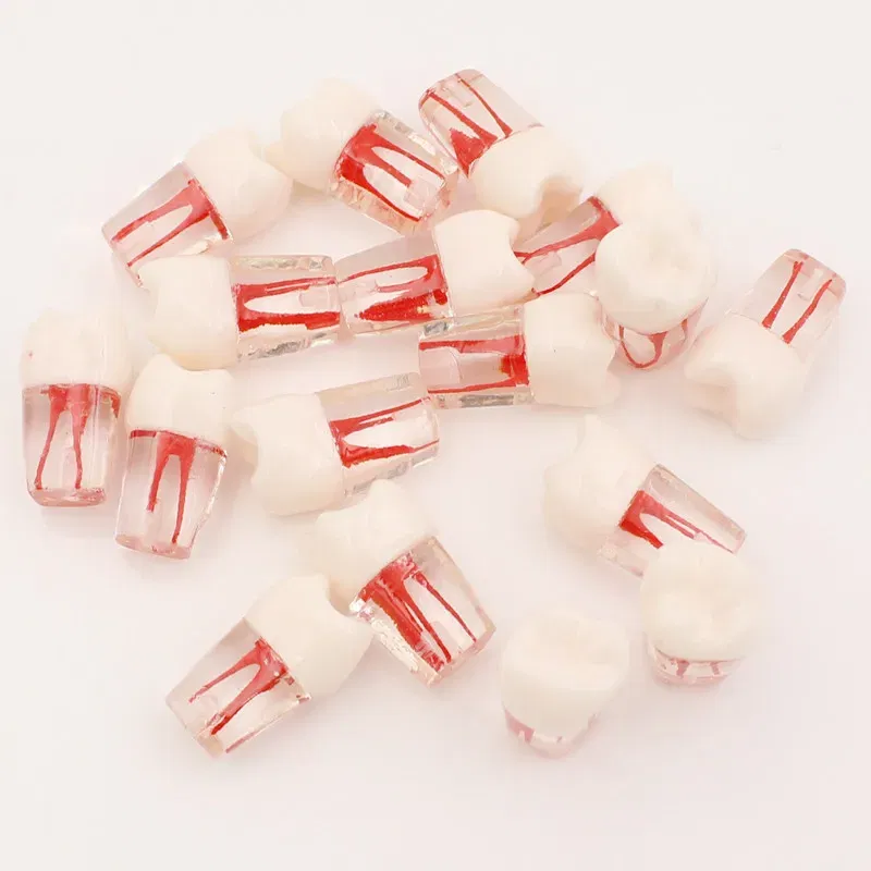 Color: Blue - 10Pc Dental Tooth Model Endodontic Root Canal Block RCT Practice Pulp Cavity Dentistry Replace Resin Teeth Endo Training Student