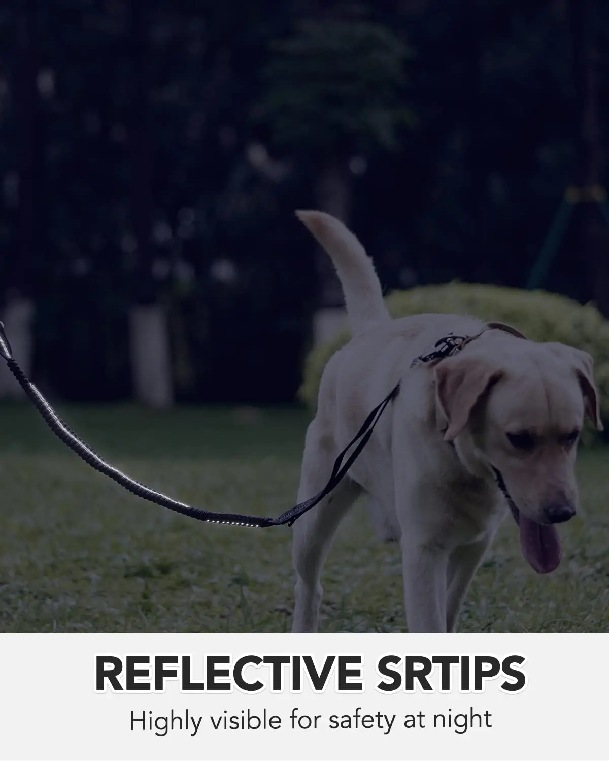 Color: GRAY - Heavy Duty Dog Leash with Elastic Bungee for Medium & Large Dogs - Shock Absorption & Safety Clip Included
