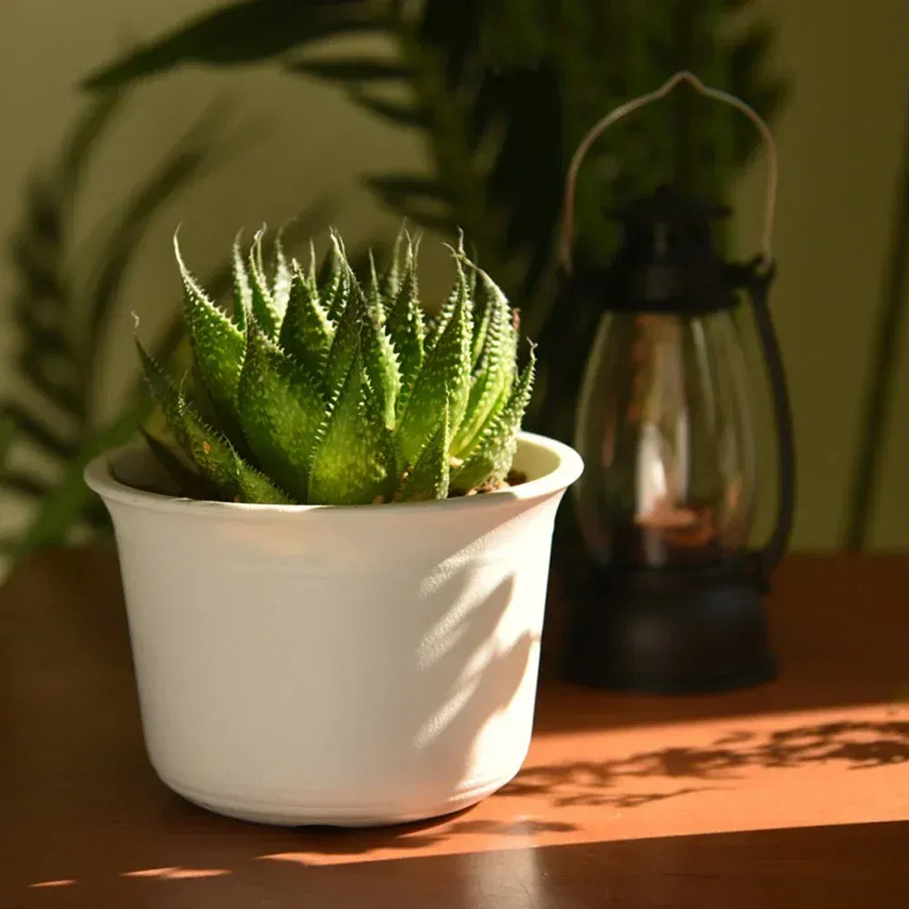 Color: Light Grey, Sheet Size: S - OIMG Plastic Round Thick Imitation Ceramic Household Indoor Planting Fleshy Green Fruit and Vegetable Resin Plastic Flower Pot