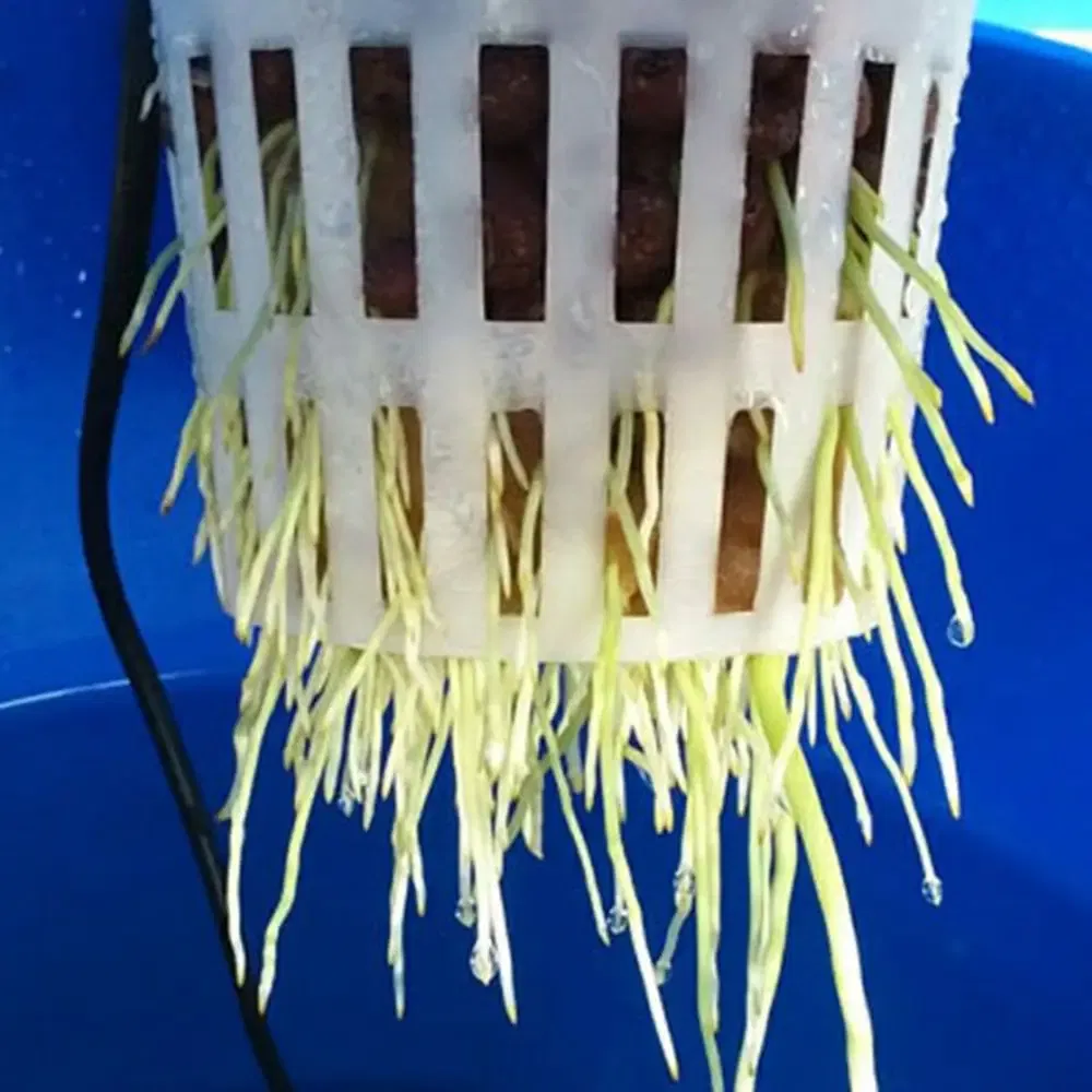 Color: WHITE - Heavy Duty Hydroponic Mesh Pot Net Cup Basket Hydroponic Aeroponic Vegetable Plant Soilless Cultivation Basket 108*98mm