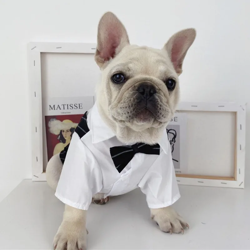 Color: Dark Brown, Size: XXS - Dog Gentleman Wedding Suit Clothes Dog Suit Bow Tie Clothes Halloween Christmas Costume For Small Dogs Teddy Bulldog