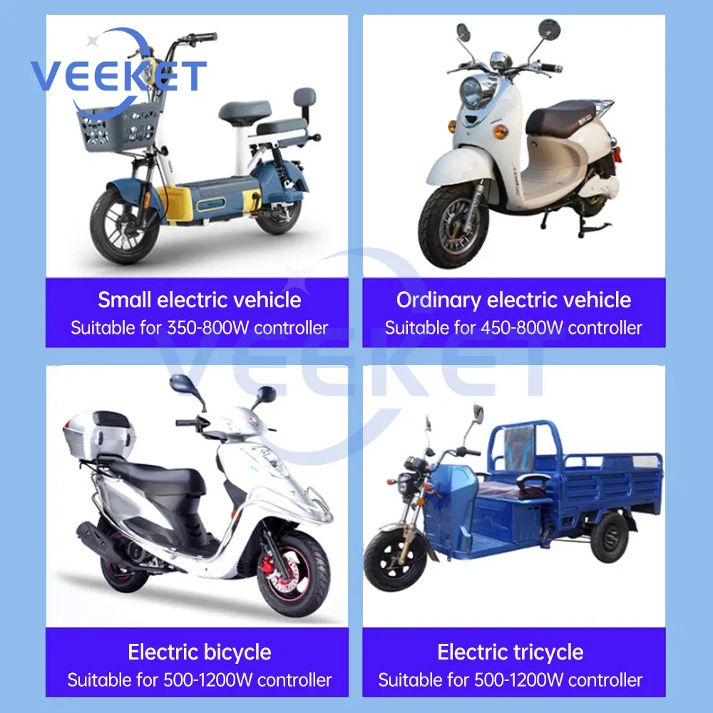48V/72V 1000W~1500W Multifunction Electric Vehicle Controller Motor Speed Control Brushless Motor Governor with Protection