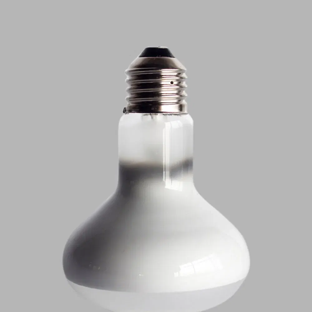 Color: Dark Khaki, Ships From: CHINA - UVA+UVB Heating Lamp uv light Suitable For Turtle Lizard Reptile Pet Waterproof Fluorescent Lamp Temperature Controller 220V