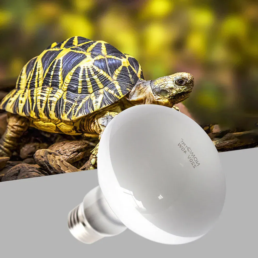 Color: Dark Khaki, Ships From: CHINA - UVA+UVB Heating Lamp uv light Suitable For Turtle Lizard Reptile Pet Waterproof Fluorescent Lamp Temperature Controller 220V