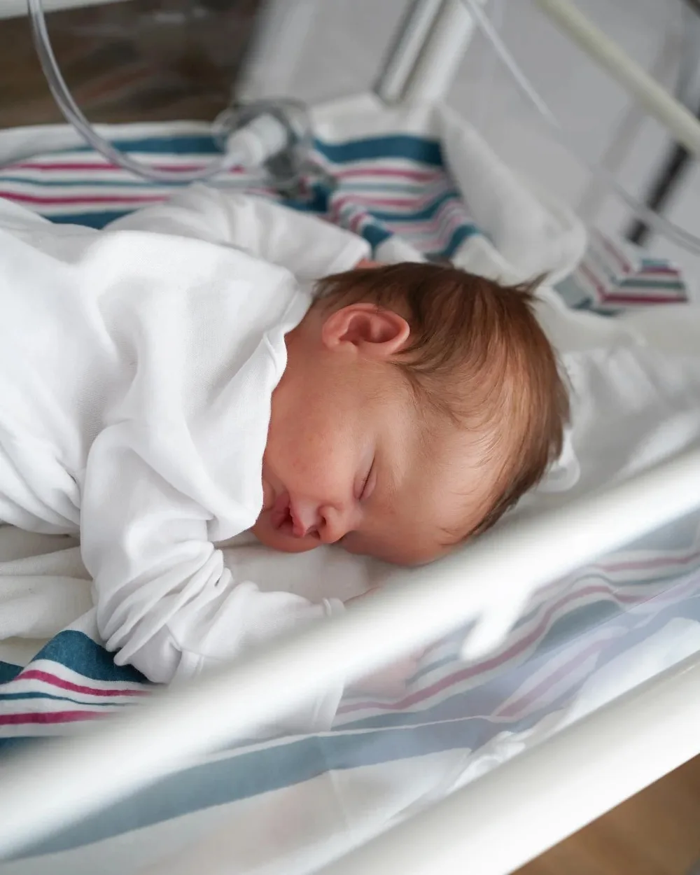 3256806459359644