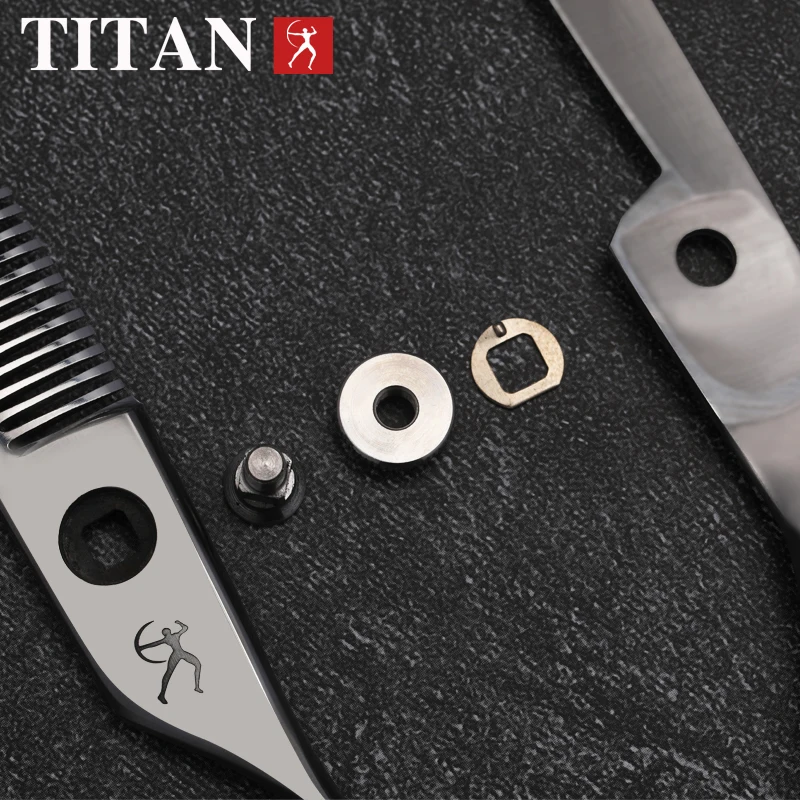 Color: GRAY - TITAN professional 6 inch hair cut scissors cutting salon scissor barber thinning shears hairdressing scissors