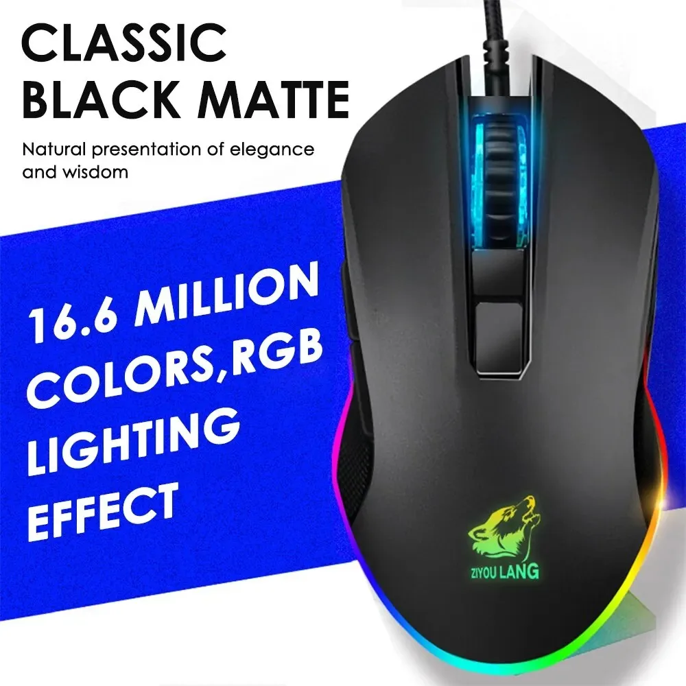 3256808369726114