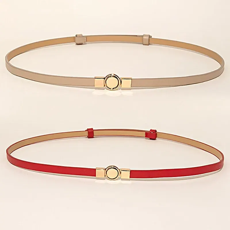Belt Length: 105CM, Color: Orange - 2Piece Combination Set Four Seasons Multicolor SelfStretch Dress With Womens Belt