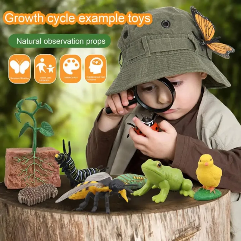 Color: Dark Khaki - Montessori Life Cycle Animal Figures With Flash Cards Educational Matching Game Creative Biology Model Learning Teaching Aids
